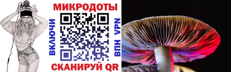 Галлюциногенные грибы Psilocybe  Купить  Беломорск 